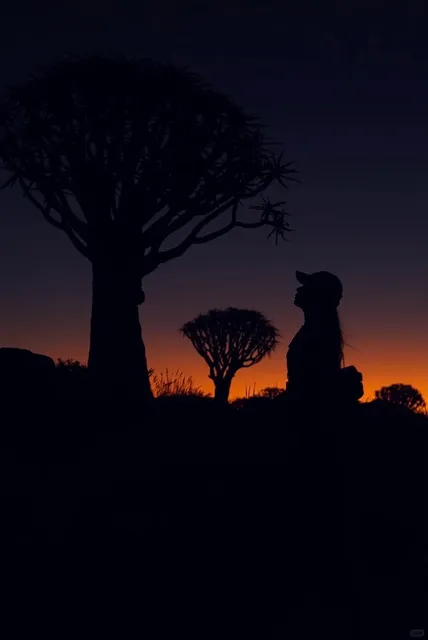 The sunrise and sunset over the quiver tree