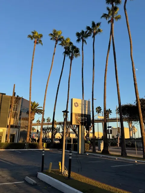 LA Travel Hotel Guide: Near the Airport 🛫✨