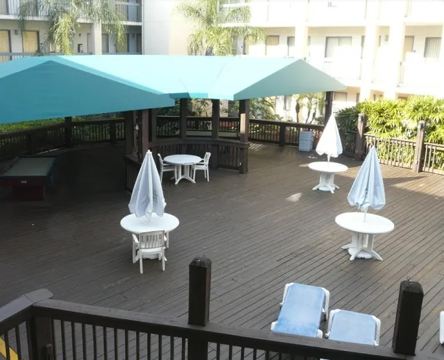 Oasis Bay Suites: What an Amazing Place!