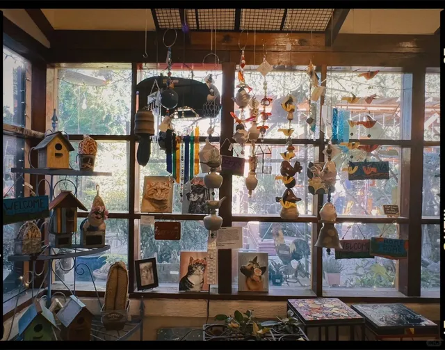 🛵 Tucson, AZ｜A Hidden Gem in the Downtown Vibe 🧡