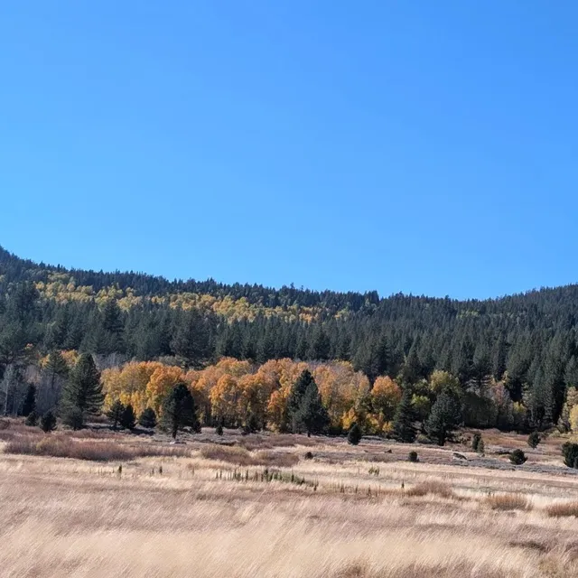 An Autumn Fairytale Unfolds at Lake Tahoe 🍂🏞️✨