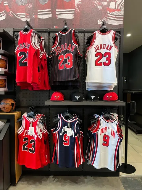 🇺🇸 Visiting the Michael Jordan Statue at United Center, Chicago 🏀✨