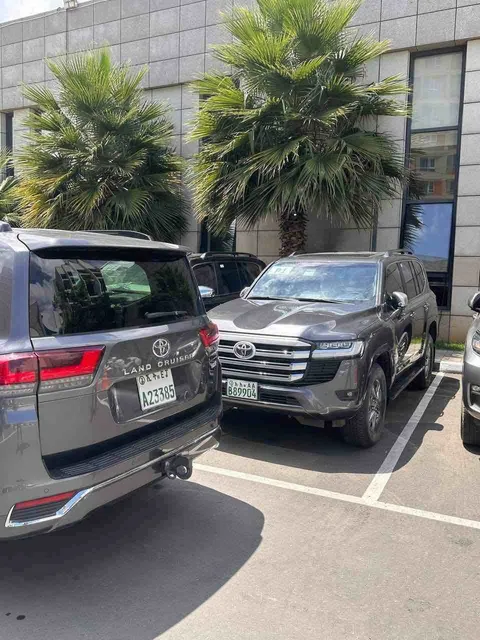 Ethio Zerihun Car rental 