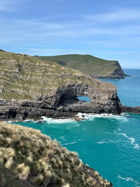 🇳🇿 The Ultimate Guide to Akaroa, Christchurch’s French Village