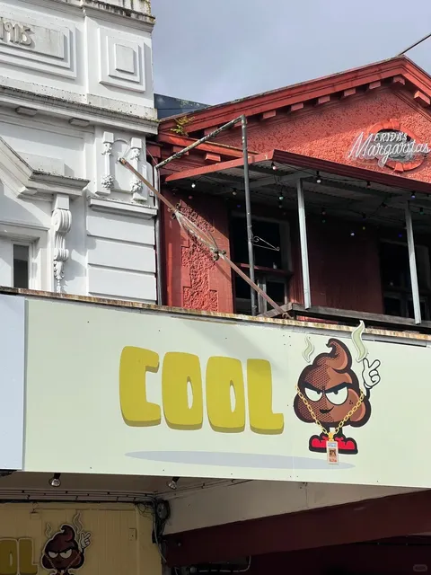 🇳🇿 Hamilton CBD | A Lazy Stroll Diary 🛍️✨