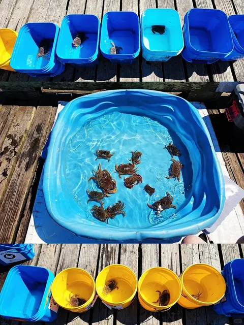 [Vancouver’s Best] Belcarra Regional Park🦀🎣