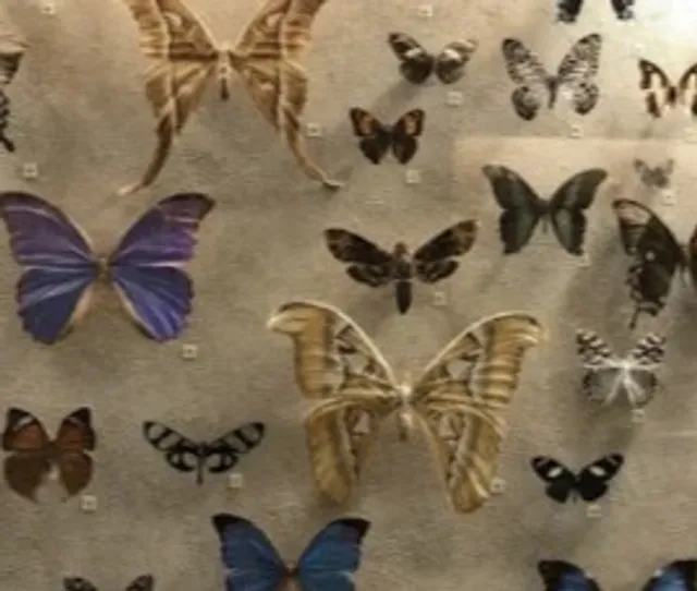 🦖 Cleveland Museum of Natural History | A Journey Through Time & Life