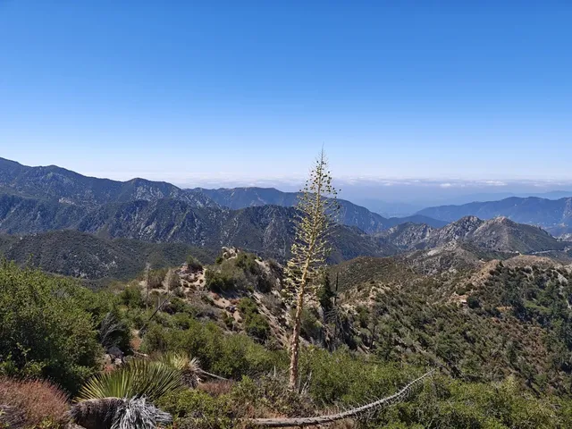 Weekly Mountain Hike | Reverse Route on LA's Strawberry Peak 🍓⛰️
