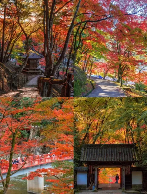 The upcoming Hokkaido is indeed the ceiling of travel.