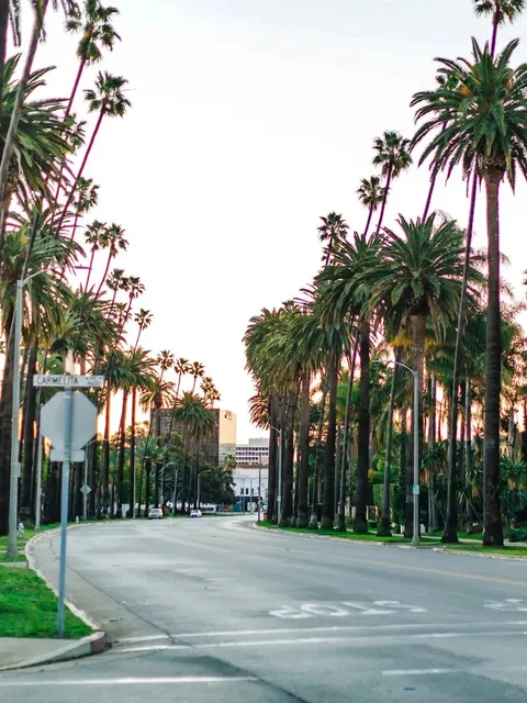 📸 How to Take Stunning Photos in LA? 4 Picture-Perfect Locations! 🌴❤