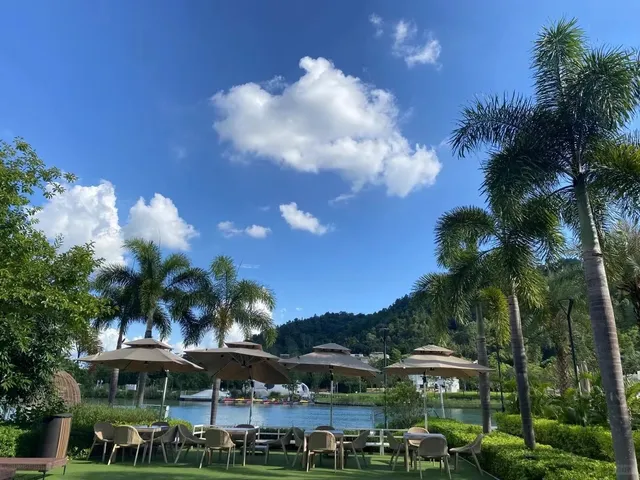 🌴💦 Palm Tree Hot Springs: Nature Meets Relaxation! 🌅