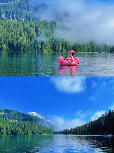 Seattle | Paddle Boarding Under the Snowy Peaks