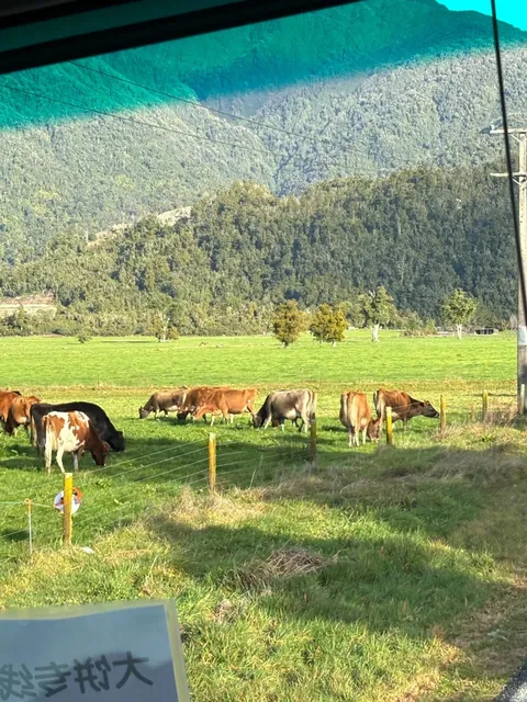 🇳🇿 New Zealand South Island | Hokitika