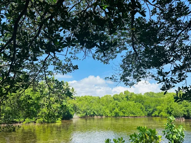 Micronesia 🇫🇲 Road Trip Vol.2