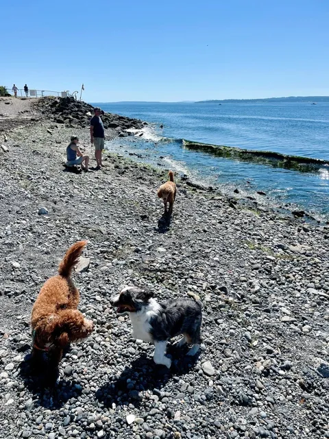 Seattle | Summer Day Trip to a Coastal Town