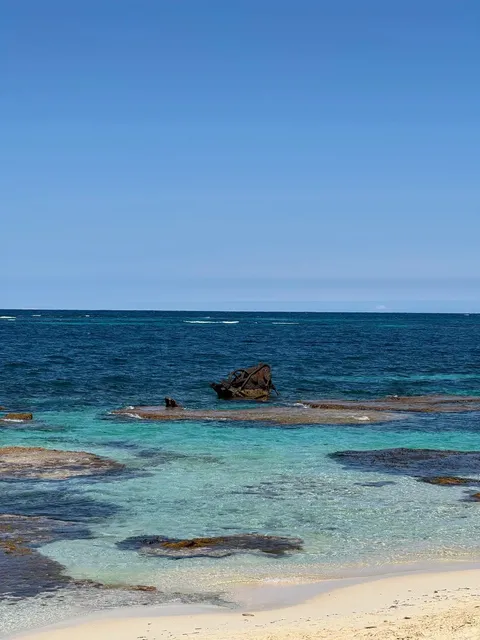 Rottnest Island Adventure Guide: Quokkas, Cycling & Survival Tips 🚴♀️