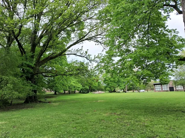 Early May at Cleveland Dam: A Floral Wonderland 🌸🌿
