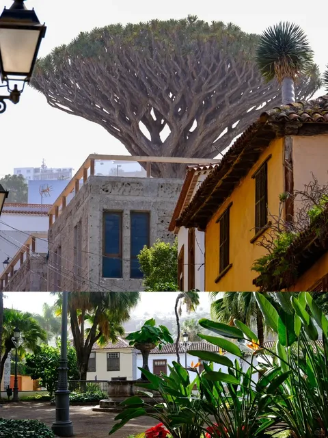 🇪🇸 Tenerife North: The Authentic Canary Island Experience! 