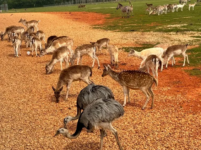 New Orleans — Day 3