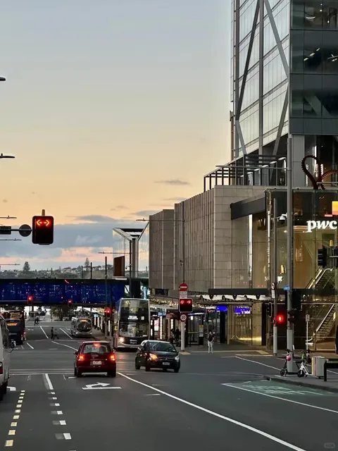 Auckland Citywalk: Where Volcanoes, Sails & Urban Magic Collide 🌏