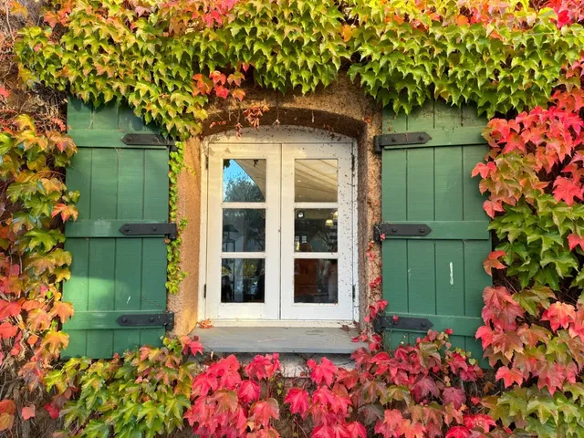 Sonoma's Autumn Wine Journey 🍂