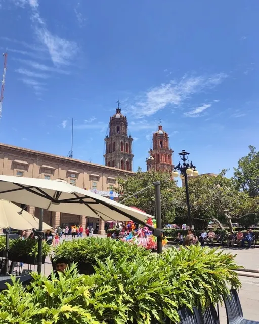 Labyrinth of Science and Art: A Dual Exploration in San Luis Potosí