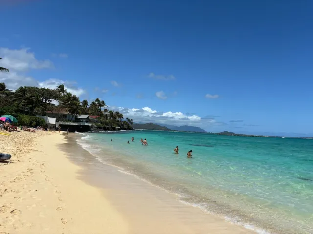 So Convenient Using TheBus! 🚌