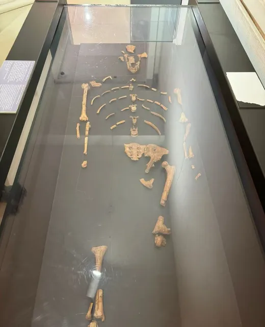 | Addis Ababa | Meeting Our Ancestors