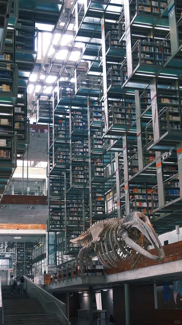 🇲🇽 Must-Visit Library in Mexico · Step into Inception