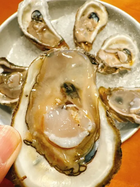 Mobile’s Amazing Restaurant | Original Oyster House 