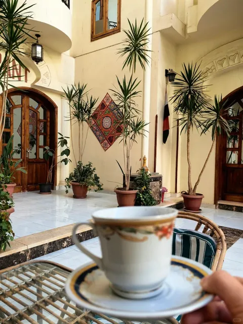 🇪🇬 Nefertiti Hotel Luxor Review: A Rural Oasis with Charm!