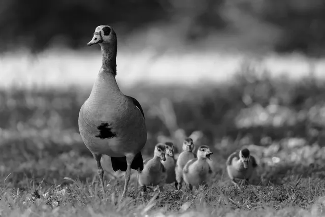 🇿🇦 Hiking Through Pretoria’s Botanical Paradise 🌿🌸