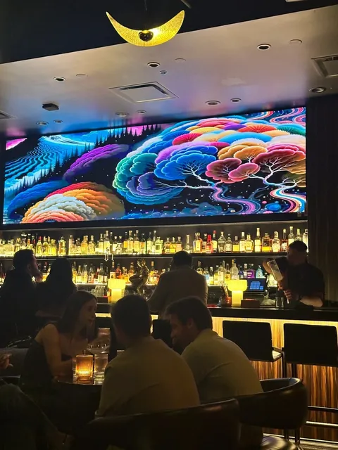 Chicago's Cozy Bar Recommendations 🥸