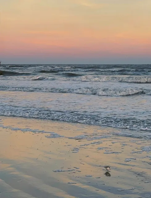🌊 Galveston Beach — Underrated Gem!