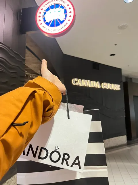 🦢 Alaska's Canada Goose Tax-Free Deals – A Must-Know Guide! 🎁
