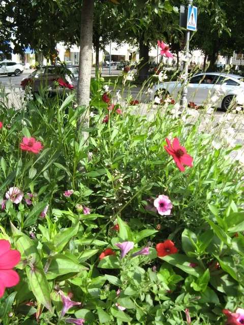 Helsinki National Park | Perfect for a Relaxed Hike!