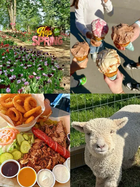 🇨🇦 Abbotsford Half-Day Trip 