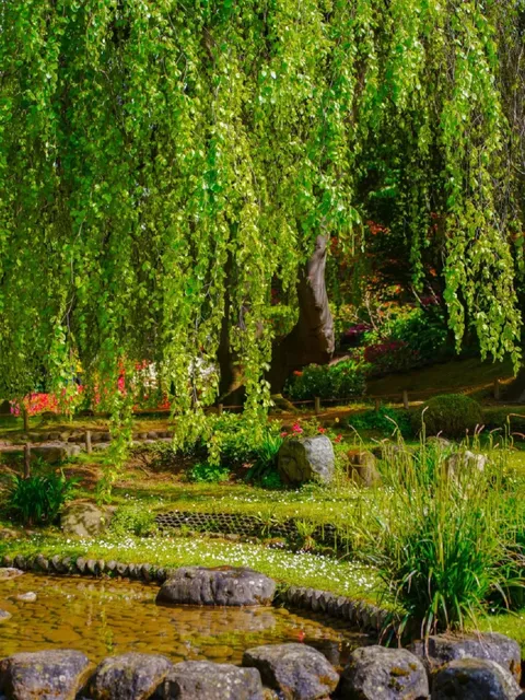 Hidden Gardens in Paris: A Suburban Gem Unknown to Tourists