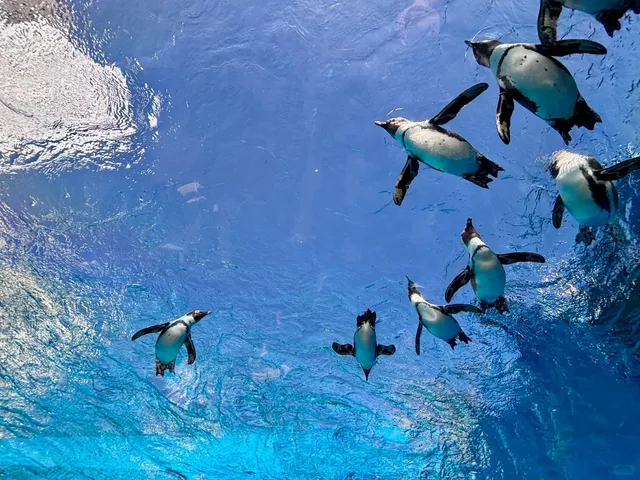 Sunshine Aquarium in Ikebukuro