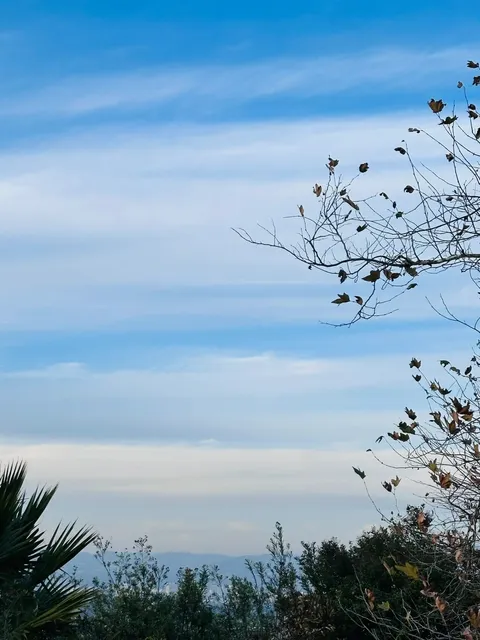 Baldwin Hills Scenic Overlook – Great Trail, Even Better Views! 🌄👟