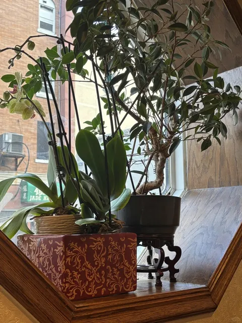 Philadelphia Food | Is This the Best Braised Pork Rice in Philly?