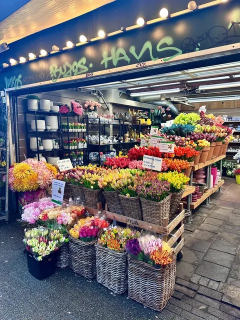 🇳🇱 Netherlands 3D2N Itinerary (Planned by a J-Type Personality!)