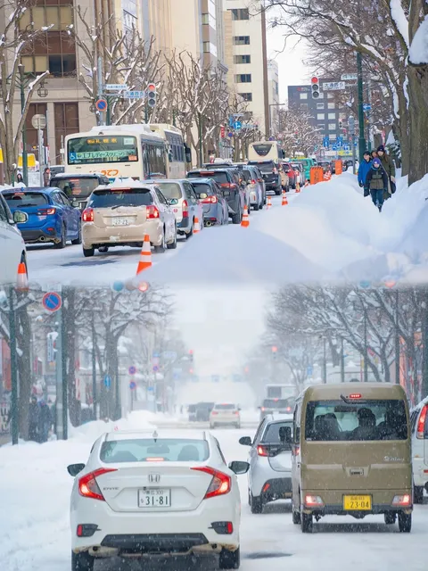 Japan Attraction Guide 🗼🌸🌺🌿🍃