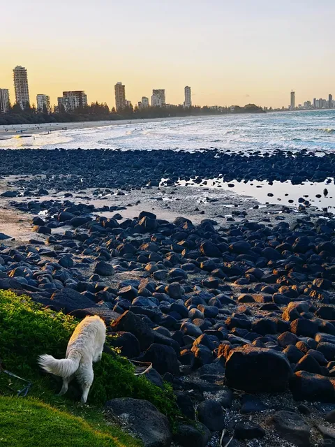 📍 Burleigh Head National Park: Hike with Ocean Views