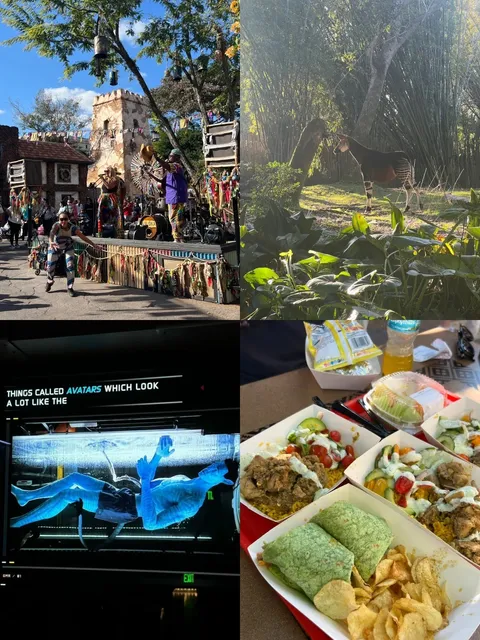 Florida Christmas Escape