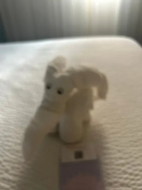 🌟 The Best Customer Service Ever! 🌟