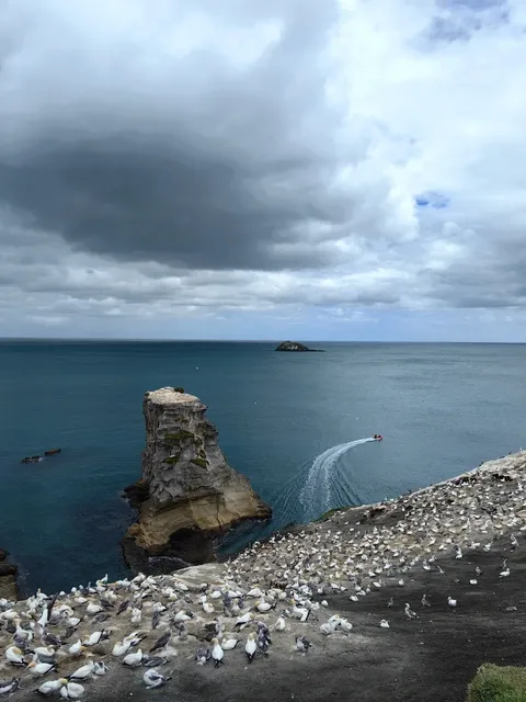 📍 𝐌𝐮𝐫𝐢𝐰𝐚𝐢 𝐁𝐞𝐚𝐜𝐡｜An afternoon with sea winds, black sand, 
