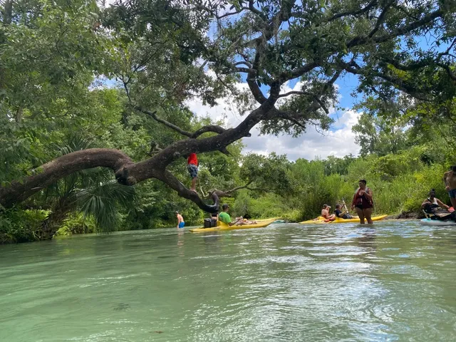 A Perfect Experience! 