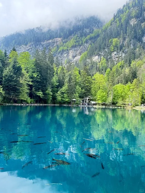 Blausee (Blue Lake), Switzerland