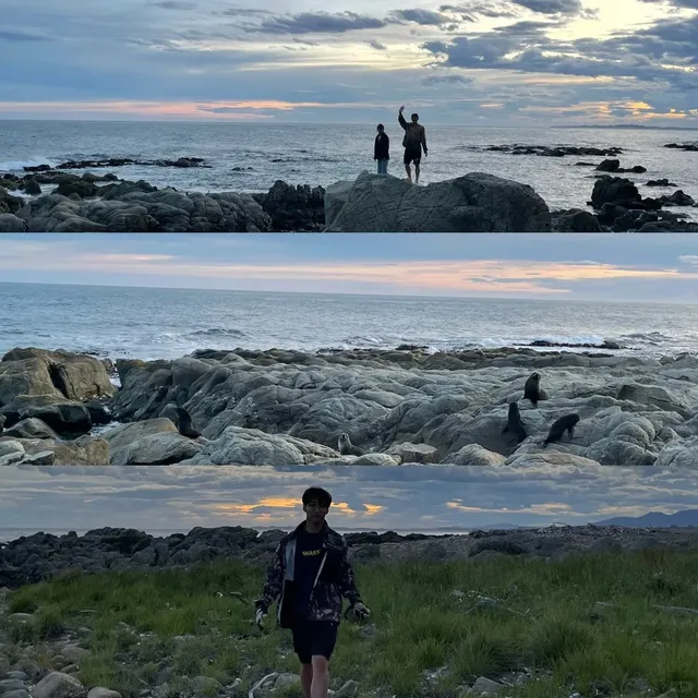 Picton | The Gateway to the South Island 🚢